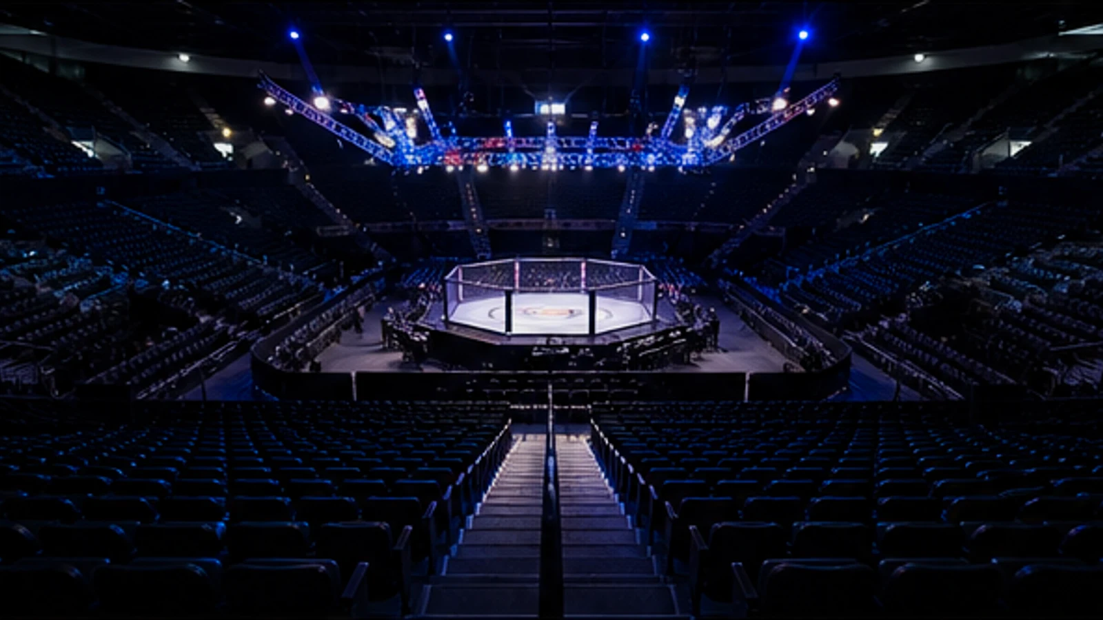 拳擊與UFC格鬥投注的情境比較畫面