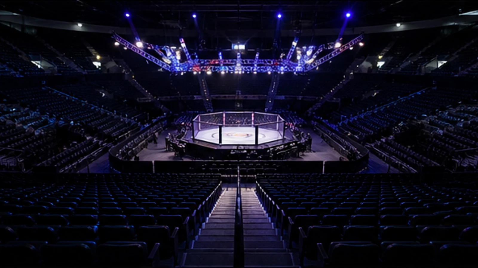 拳擊與UFC格鬥投注的情境比較畫面