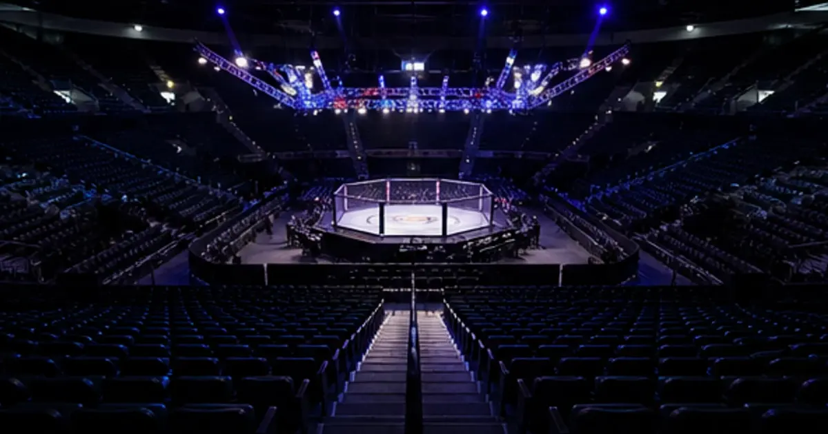 條件拆解型5｜UFC格鬥投注比較器結果圖